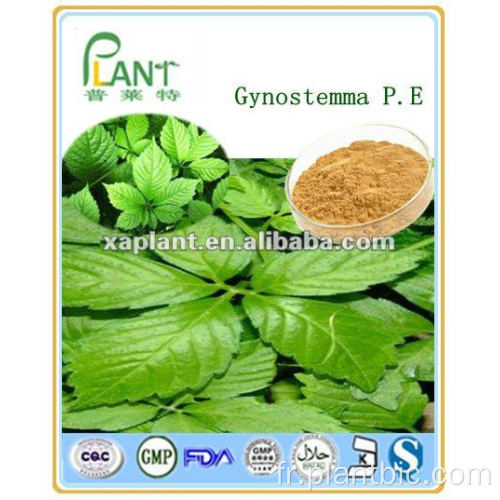 Fourniture d&#39;usine d&#39;extrait de plante naturelle pure Gynostemma Pentaphyllum Extrait